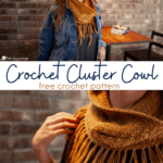 Crochet Cluster Cowl free crochet pattern