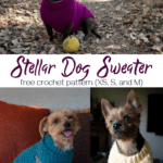 Stellar Dog Sweater crochet pattern